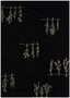 COUPON 110cm Kokka Japan - Black Flowers - KATOEN EMBROIDERY